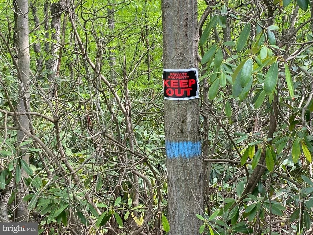 Photo of Lot 3 DEER RUN ROAD