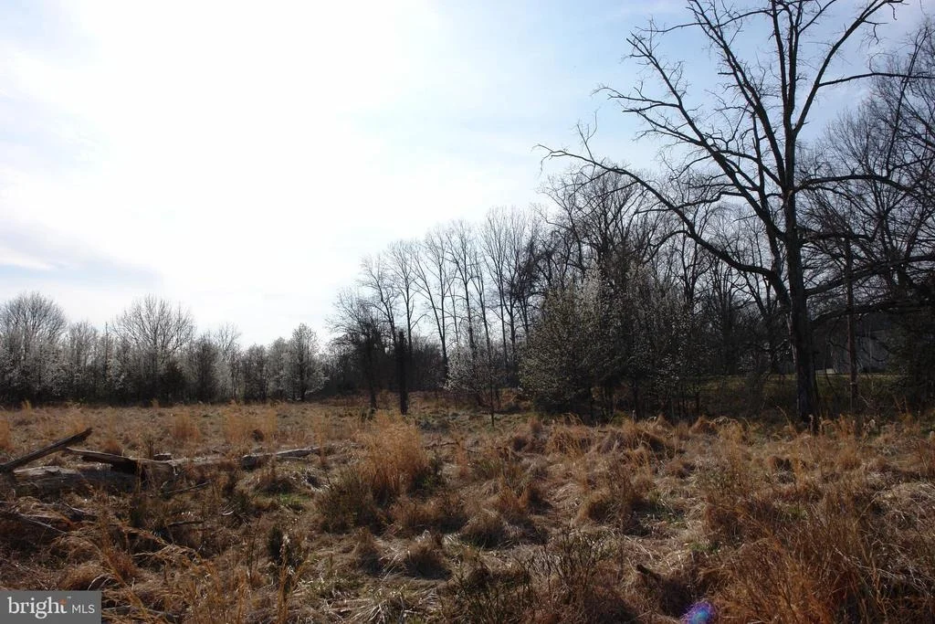 Photo of 3204 AMPEG LANE