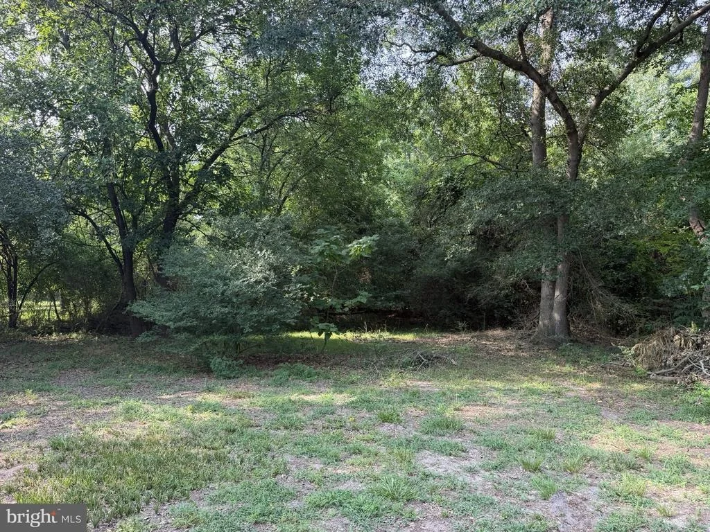 Photo of 8751 OCKELS DRIVE