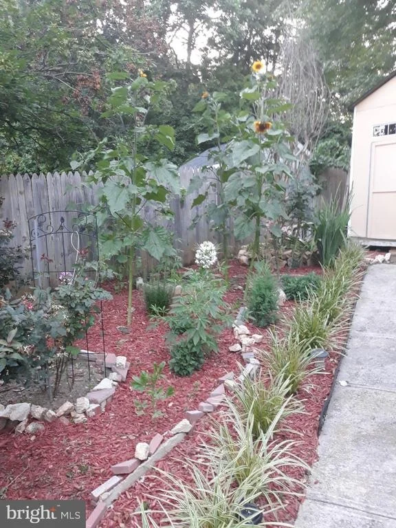 Photo of 1320 RAINBOW DRIVE