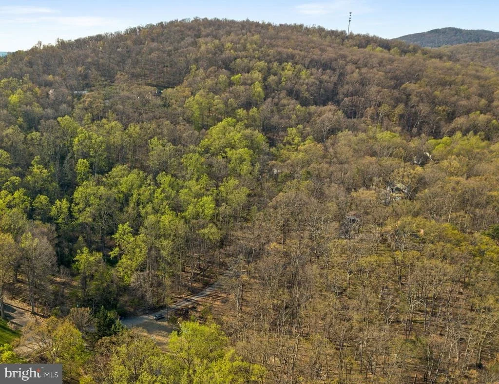 Photo of 7125 EDGEMONT ROAD