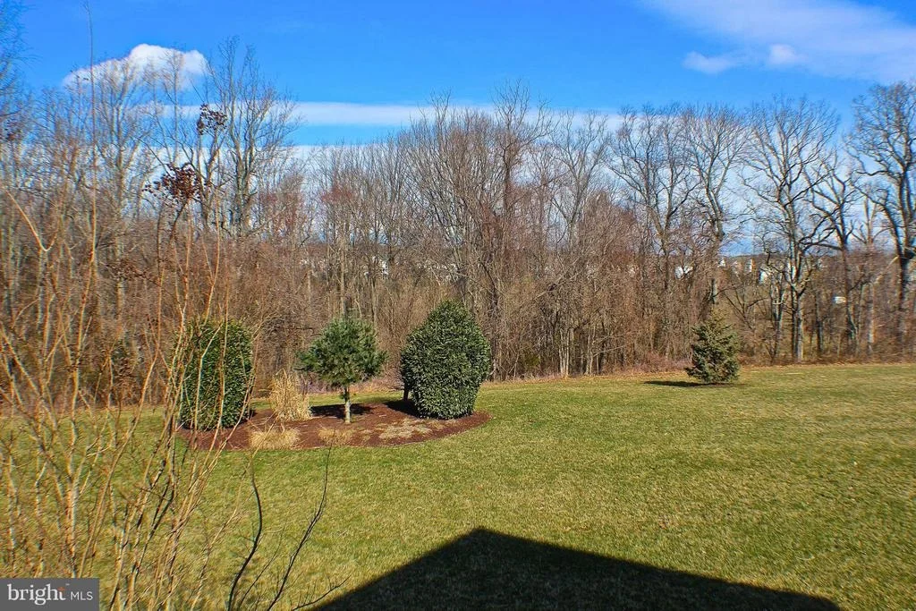 Photo of 24172 SPRING MEADOW CIRCLE