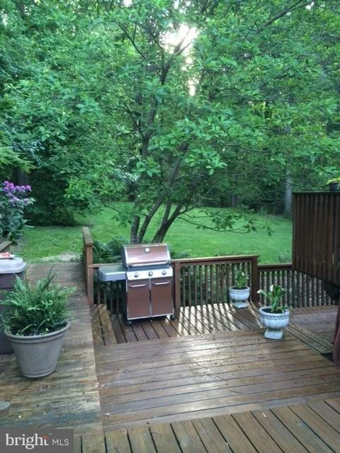 Photo of 11736 FLINTS GROVE LANE