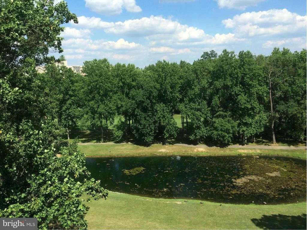 Photo of Unit 2802 at 15107 INTERLACHEN DRIVE