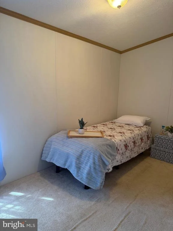 Photo of 21 BLUEBIRD LN
