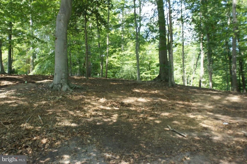 Photo of 426 COMSTOCK DRIVE