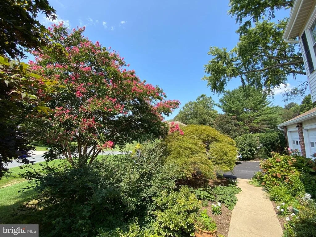 Photo of 17301 LAFAYETTE DRIVE
