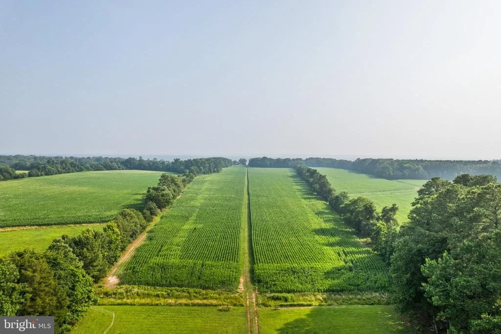 Photo of 19700 MULBERRY FIELDS ROAD