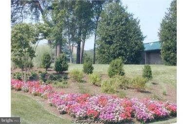 Photo of Unit 1818 at 15101 INTERLACHEN DRIVE