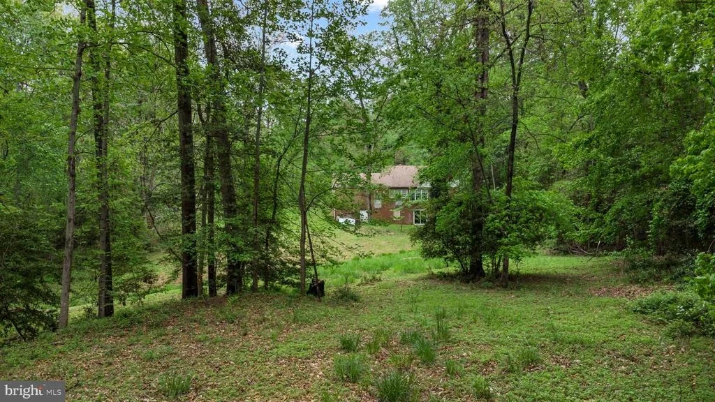 Photo of 10979 STUART MILL ROAD