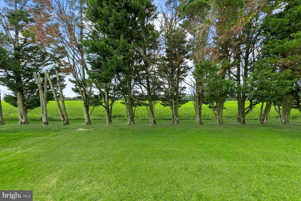 Photo of 13 W GREENWING DRIVE