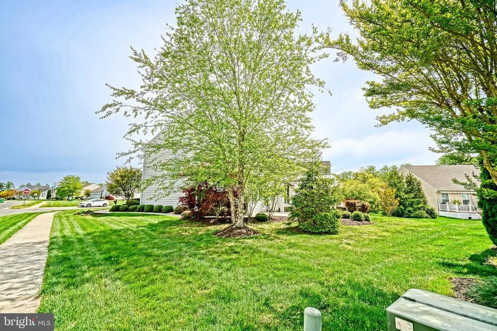 Photo of 36396 BABBLING BROOK WAY