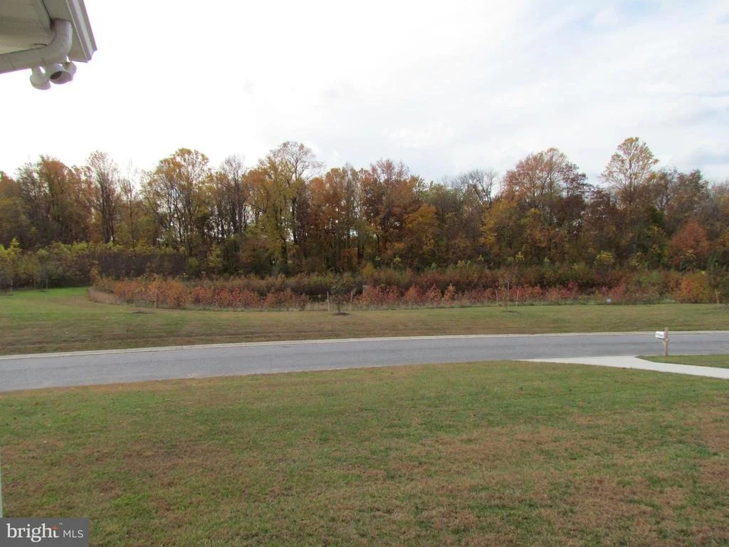 Photo of 585 WHITETAIL RUN