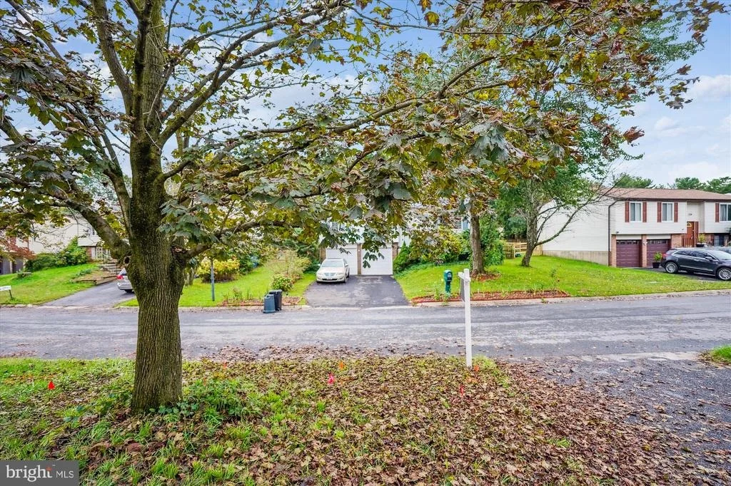 Photo of 19013 PERRONE DRIVE