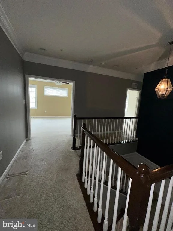 Photo of 8156 RIDGELY LOOP