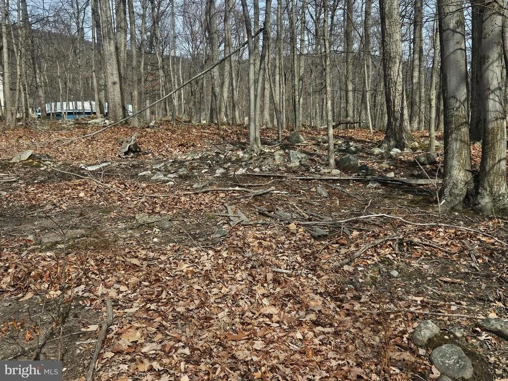 Photo of 825 PANTHER DRIVE