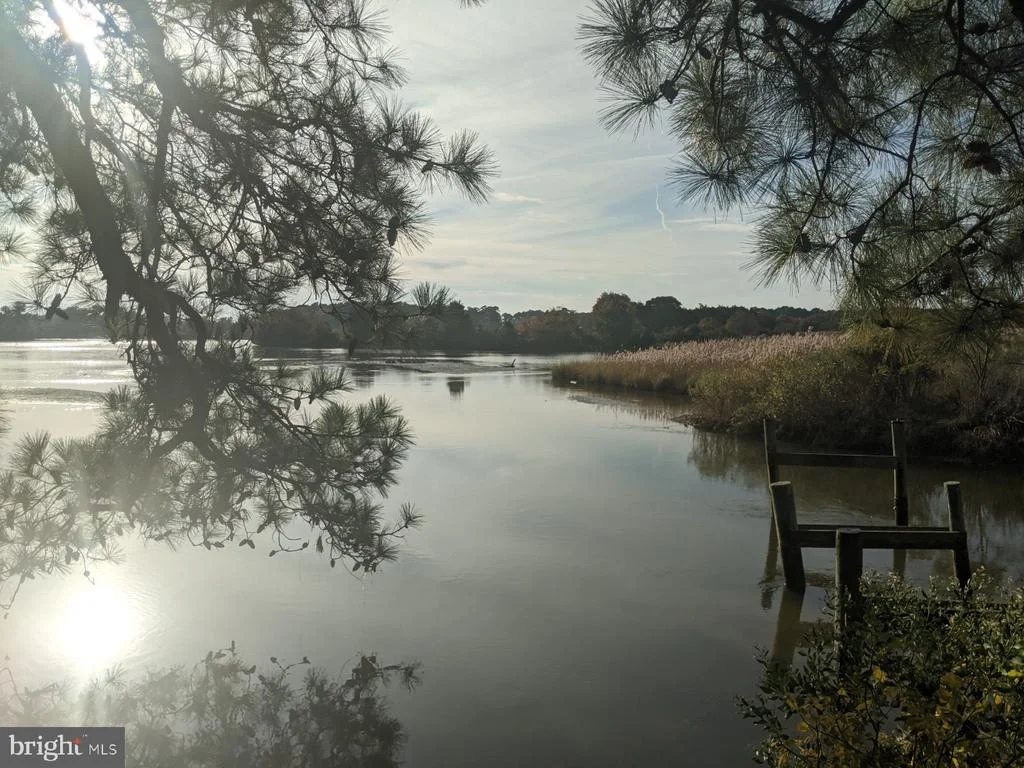 Photo of 50810 HOLLY POINT