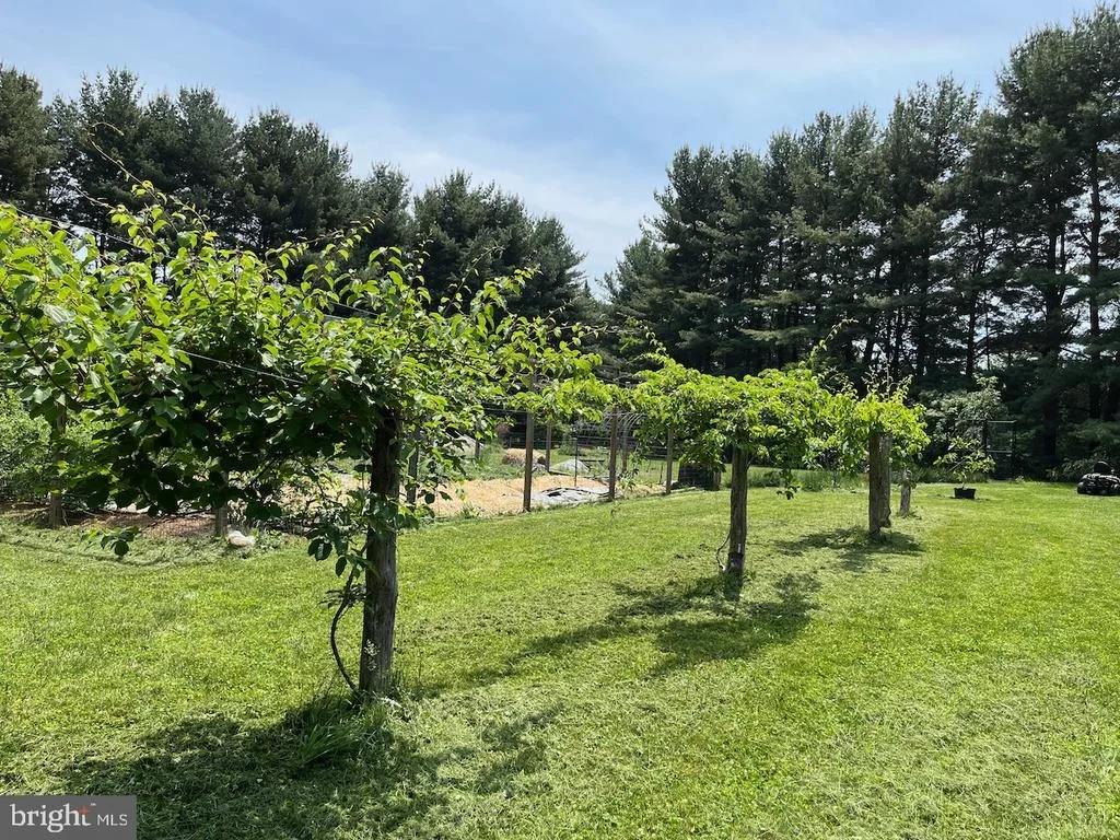 Photo of 21030 PEACH TREE ROAD