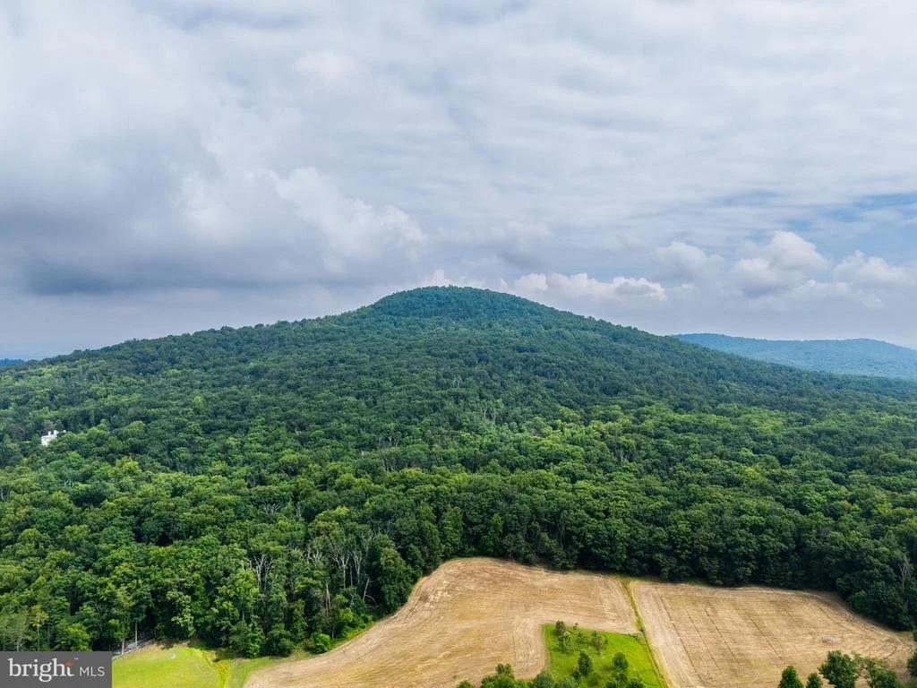 Photo of 1137 SUGARLOAF MOUNTAIN ROAD