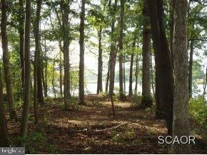 Photo of 40 WOODS RUN CIRCLE