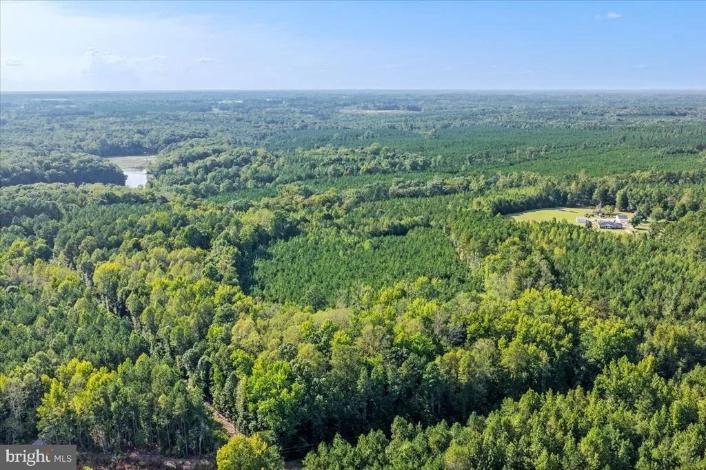 Photo of Lot 7 & 8 COUNTY POND ROAD