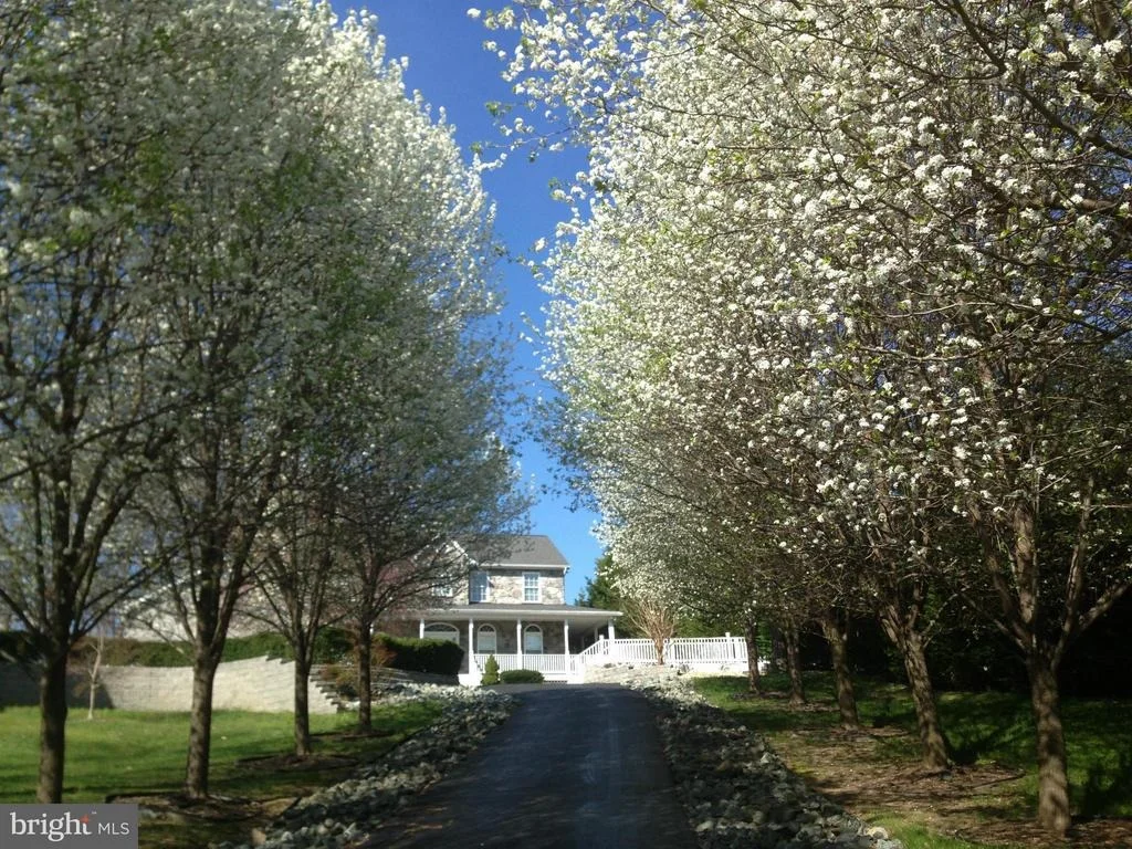 Photo of 2385 CAPE LEONARD DRIVE