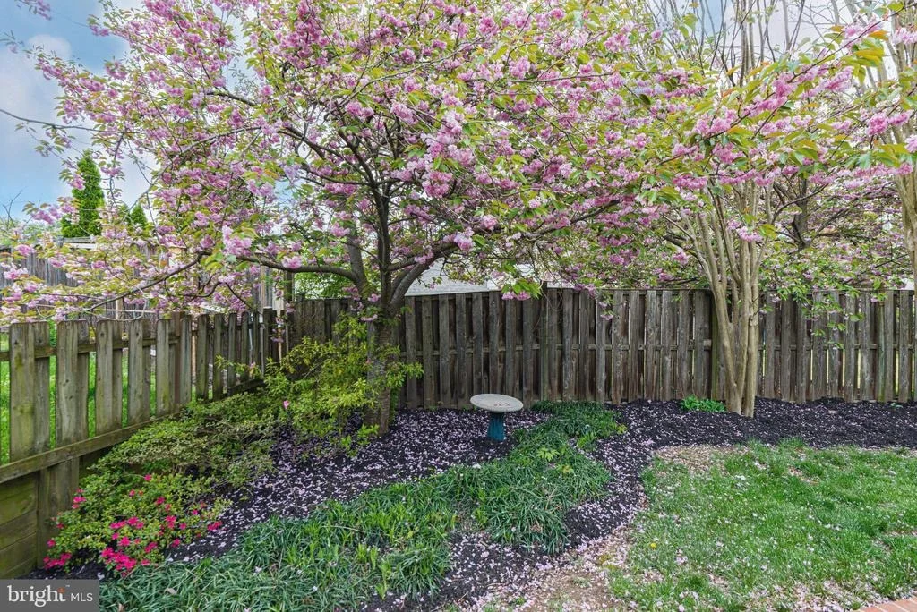 Photo of 2489 RED FALL COURT