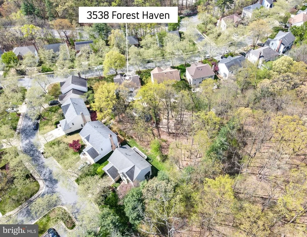 Photo of 3538 FOREST HAVEN DRIVE