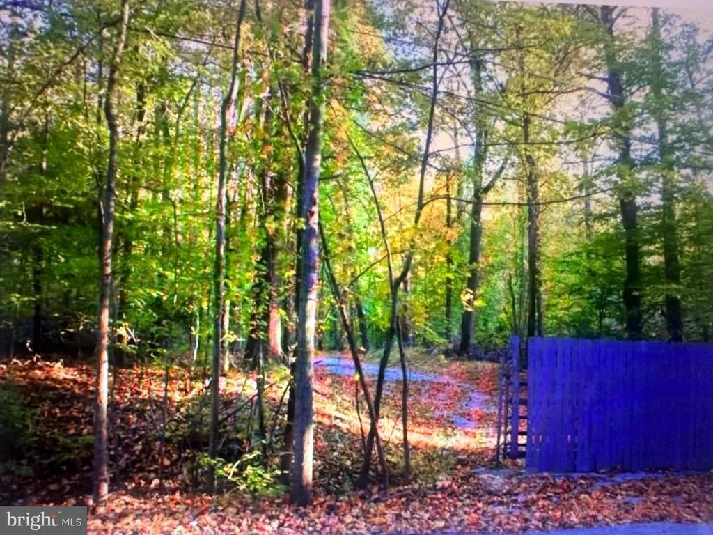 Photo of 8013 POPLAR HILL DRIVE