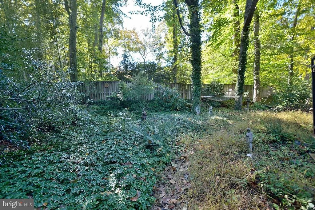 Photo of 4 BUTTONWOOD LANE