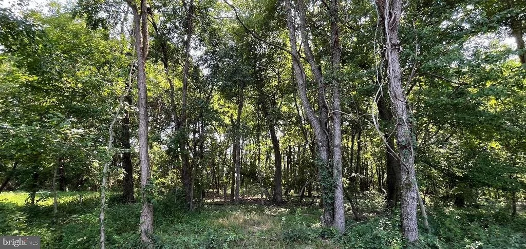 Photo of 11037 BOTTOM ROAD