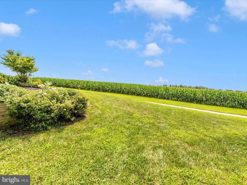 Photo of 7309 TALBOT RUN ROAD