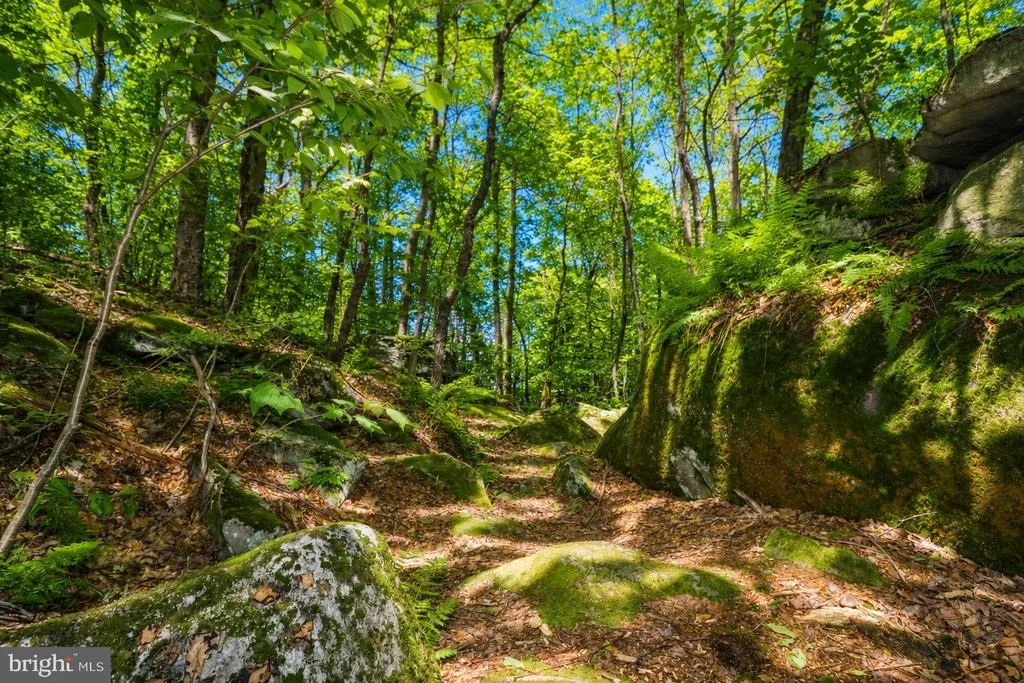 Photo of 94 MOUNTAINTOP ROAD