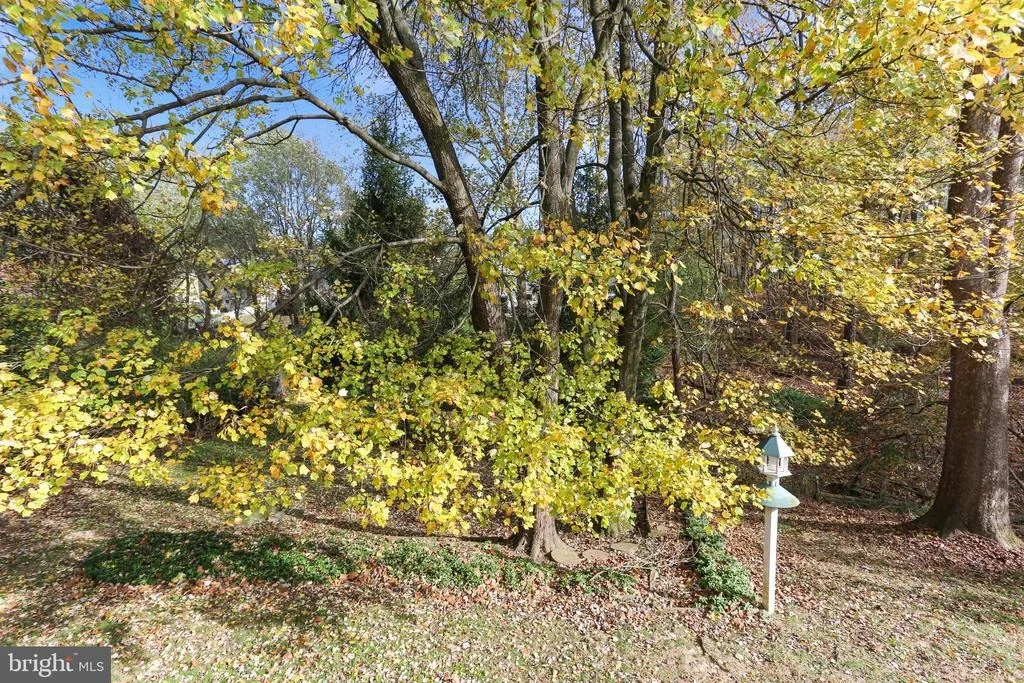 Photo of 19005 PLUMMER DRIVE