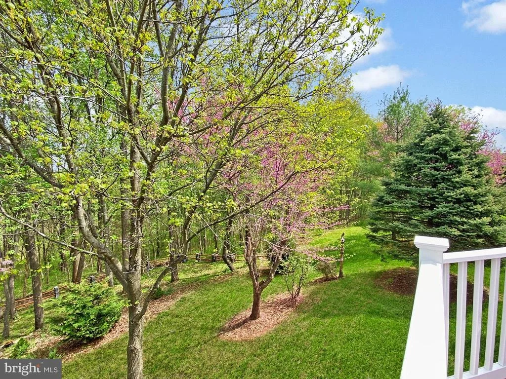 Photo of 9112 WHITMORE LANE