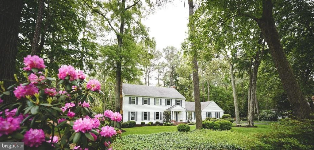 Photo of 29745 JACKSON ROAD