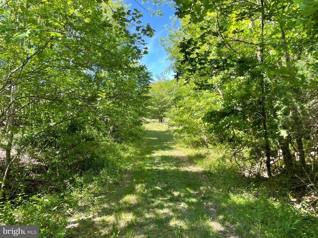 Photo of 1225 MIDDLE RIVER ROAD