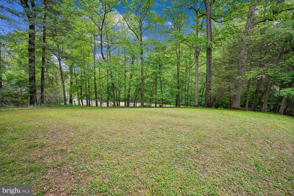 Photo of 11732 STUART MILL ROAD