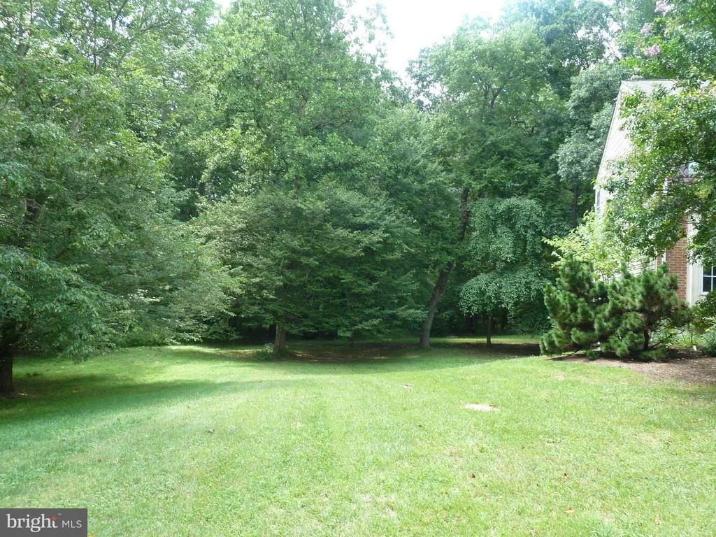 Photo of 3404 OLIVE BRANCH DRIVE
