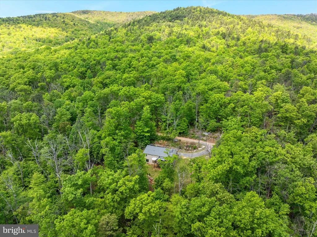 Photo of 617 FOX TRAIL