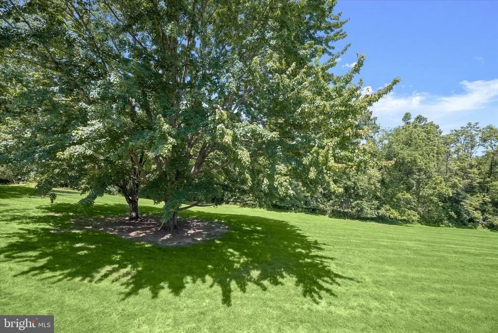 Photo of 5331 WYE CREEK DRIVE