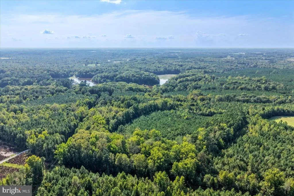 Photo of Lot 7 & 8 COUNTY POND ROAD