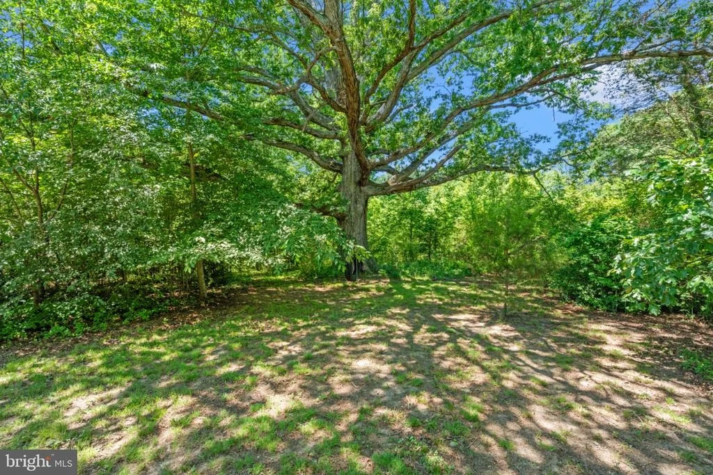 Photo of 4730 BICKNELL ROAD
