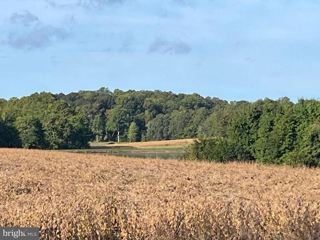Photo of 11037 BOTTOM ROAD