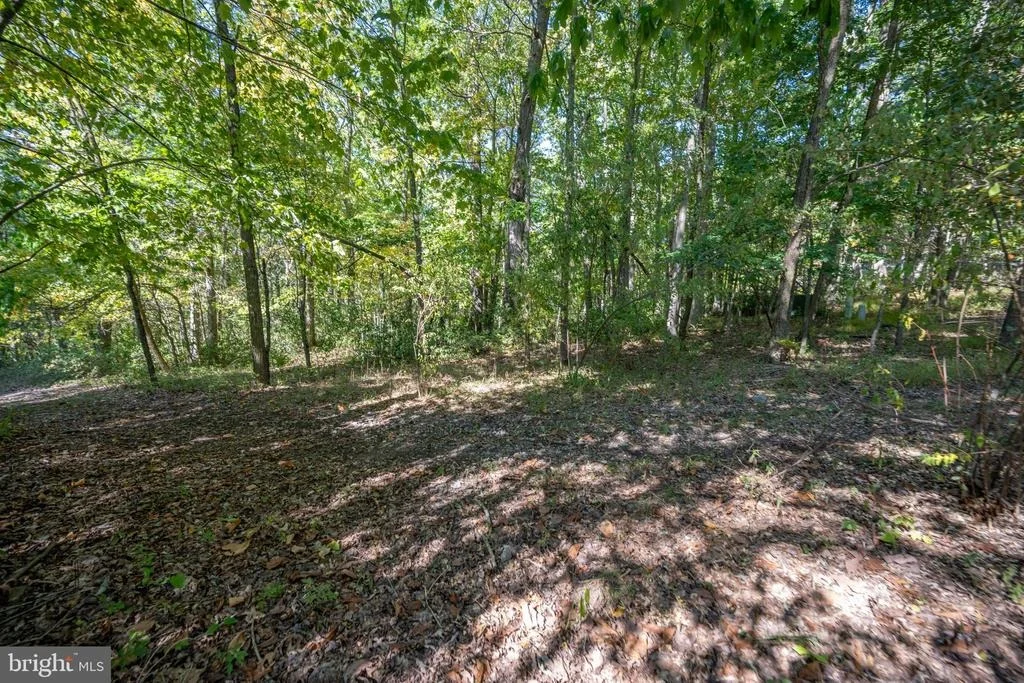 Photo of LOT 9 NORMAS WAY