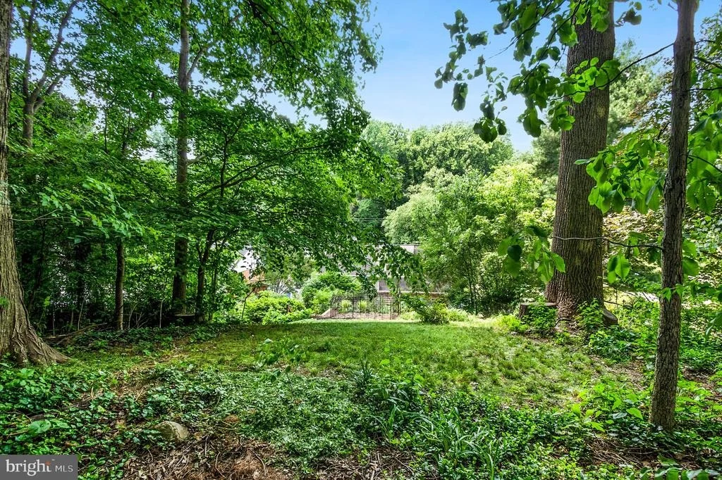 Photo of 11213 DEWEY ROAD