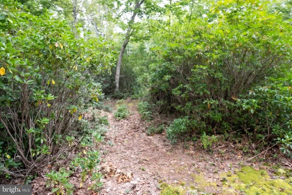 Photo of 252 RACOON DRIVE