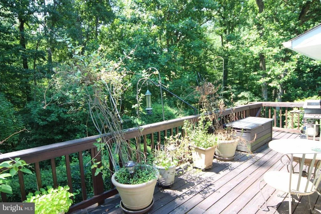 Photo of 8109 LANGBROOK ROAD