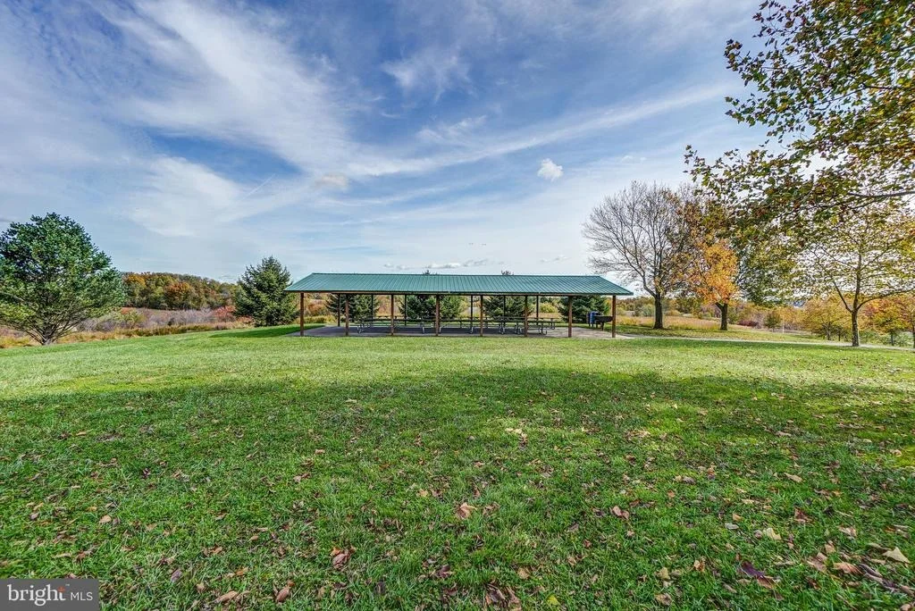 Photo of 12333 CHERRY BRANCH DRIVE