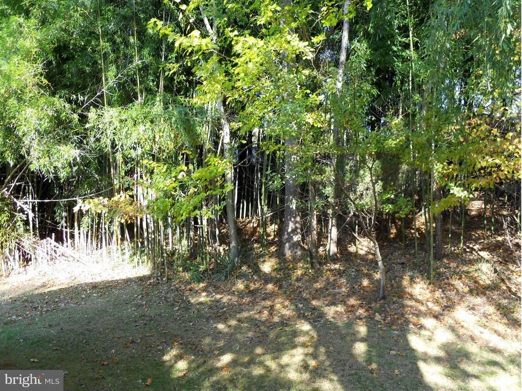 Photo of 1805 QUEENSGUARD ROAD